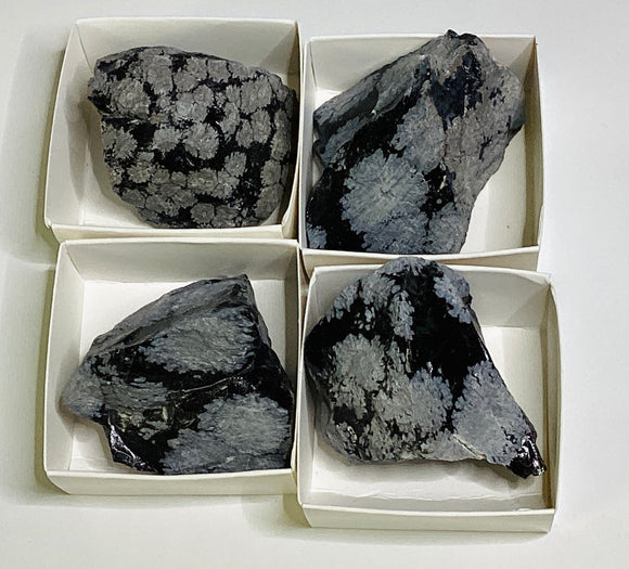 Rock - Rough - Medium - Snowflake Obsidian