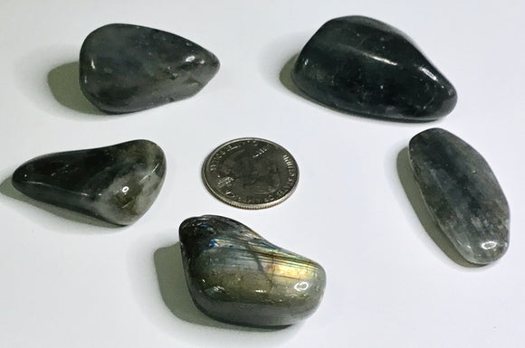 Rock - Tumbled - Labradorite