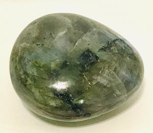 Rock - Palm - Labradorite