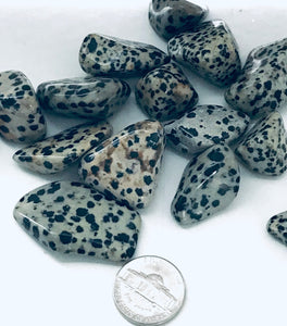 Rock - Tumbled - Dalmatian Stone